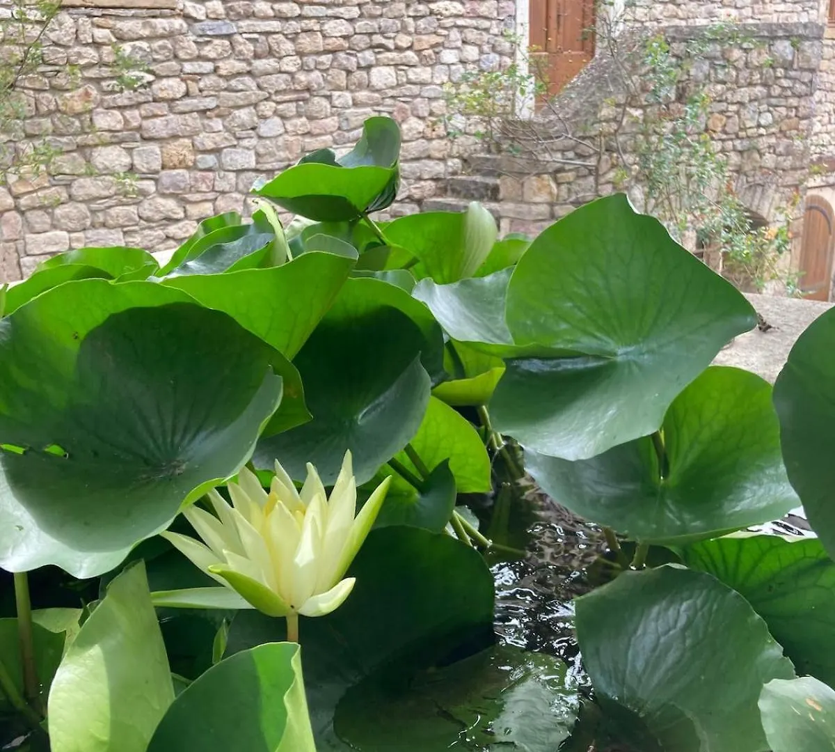 Gite Lou Clapas Dans Village Perche Du Parc Des Grands Causses Nant بيت للعطل